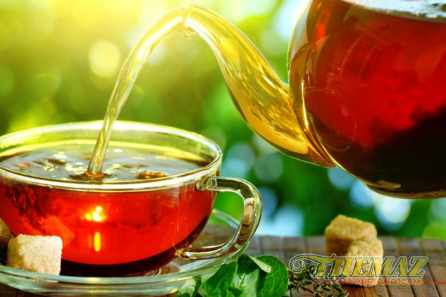 Mách bạn một vài loại trà giúp thanh nhiệt giải độc gan vào mùa hè